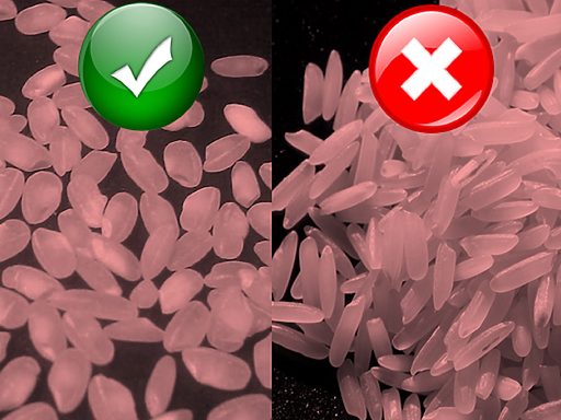Types of Original Rice for paella